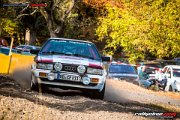 51.-nibelungenring-rallye-2018-rallyelive.com-8905.jpg